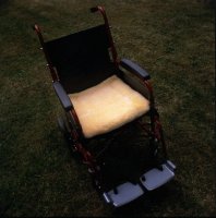 Seat Cushion Seat Cushion